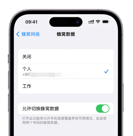 连云港苹果维修服务分享如何在iPhone上使用双卡 